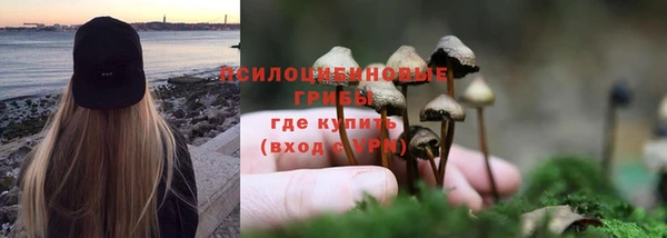 СК Беломорск