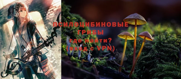СК Беломорск