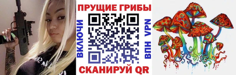 Псилоцибиновые грибы Psilocybine cubensis  купить  сайты  Лабинск 