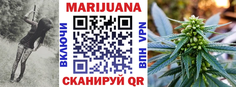 Конопля сатива Лабинск